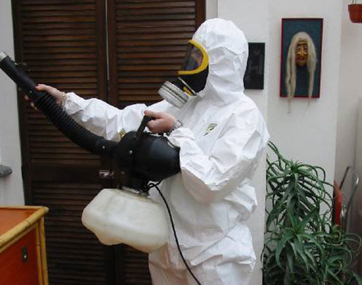 Protégez vos locaux avec la désinsectisation à Avignon